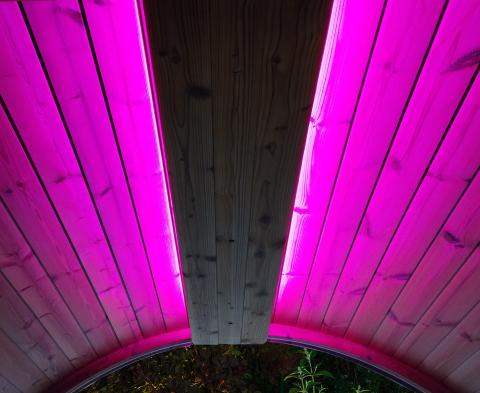 SaunaLife Emood Color Lighting for ERGO Sauna Color LED Lighting for SaunaLife ERGO Series Barrel - West Coast Saunas - SL - EMOOD