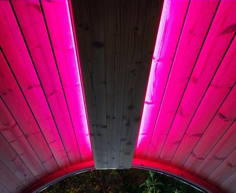 SaunaLife Emood Color Lighting for ERGO Sauna Color LED Lighting for SaunaLife ERGO Series Barrel - West Coast Saunas - SL - EMOOD
